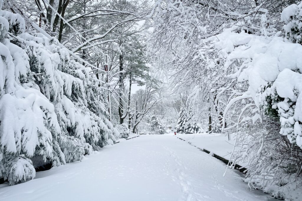 rural road covered in snow